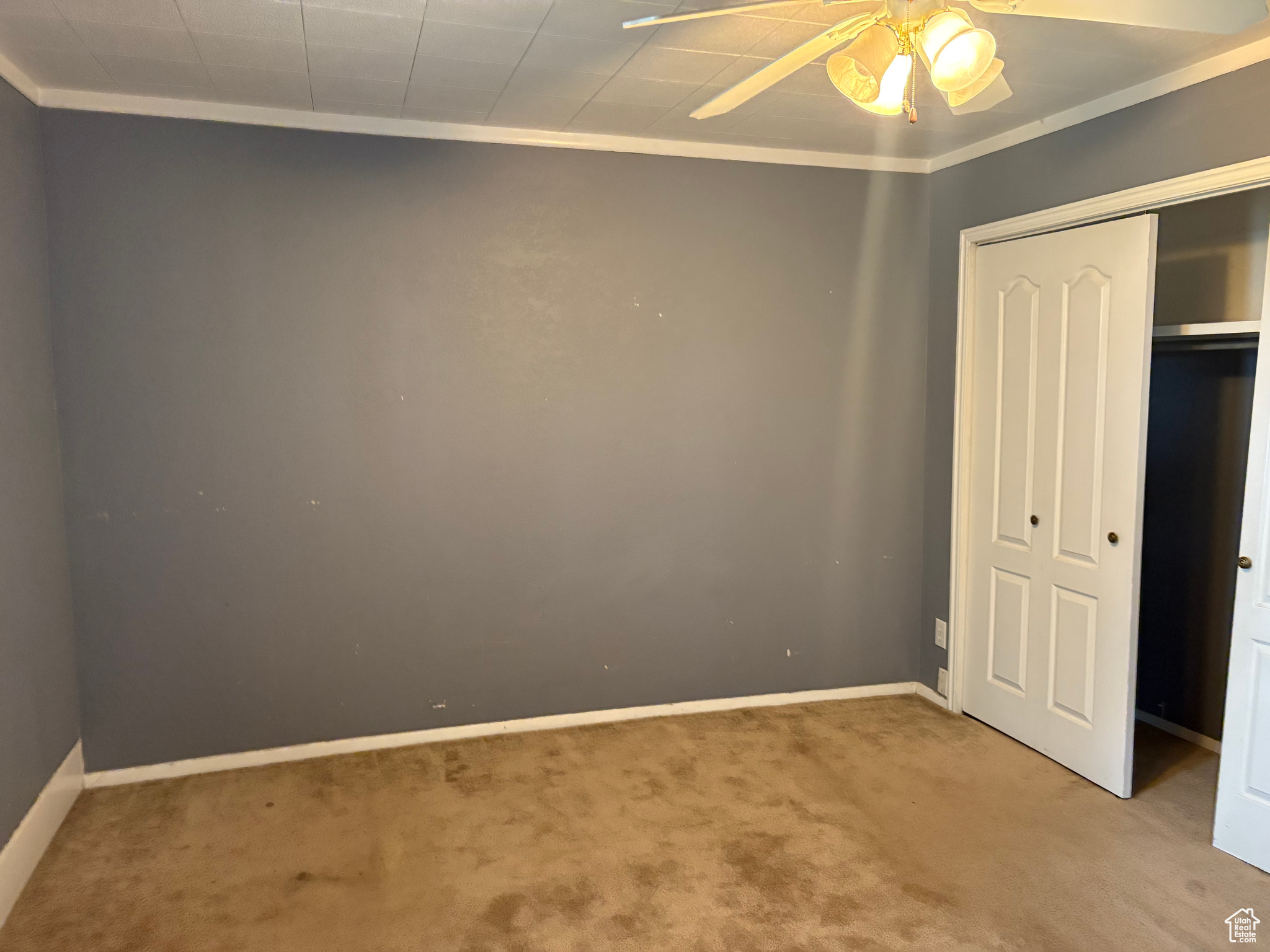 239 S 300, Nephi, Utah image 15