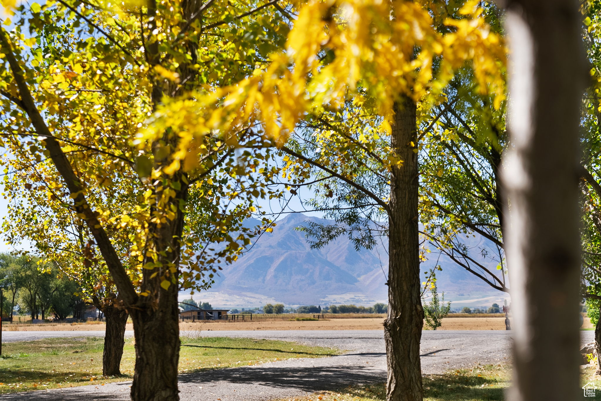 1210 S 2000, Logan, Utah image 9