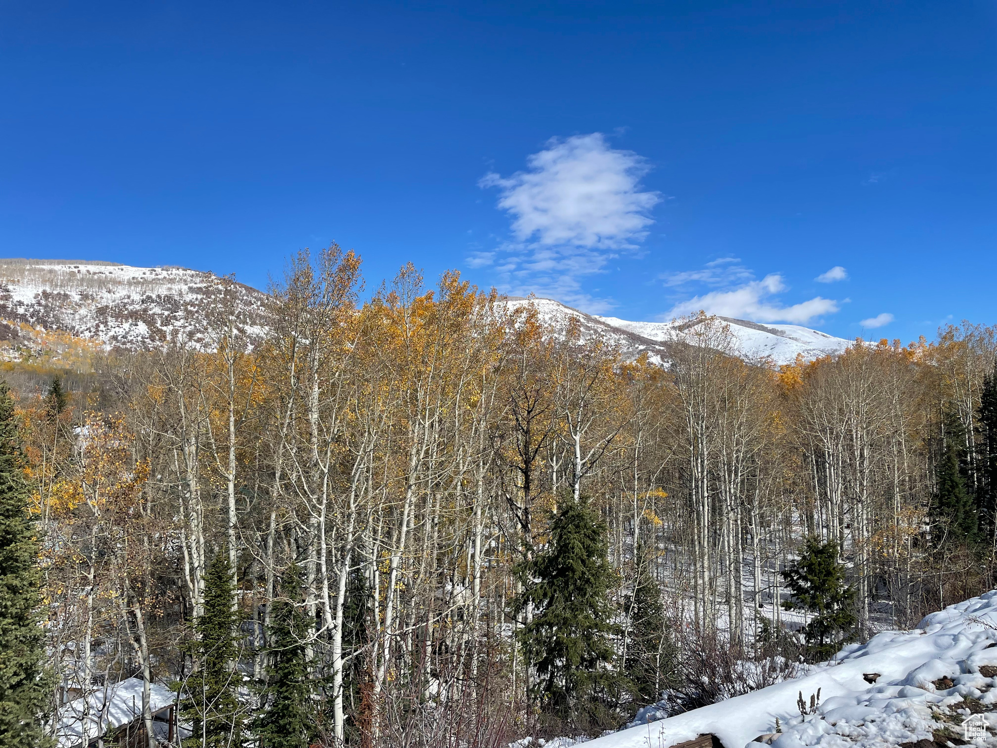 BEAVER SPRINGS - Land