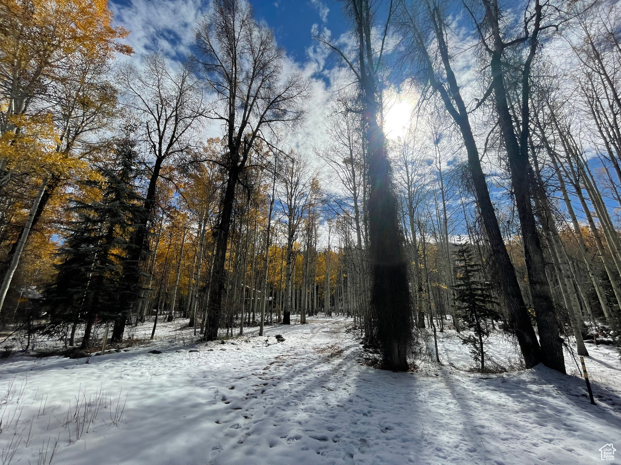 BEAVER SPRINGS - Land