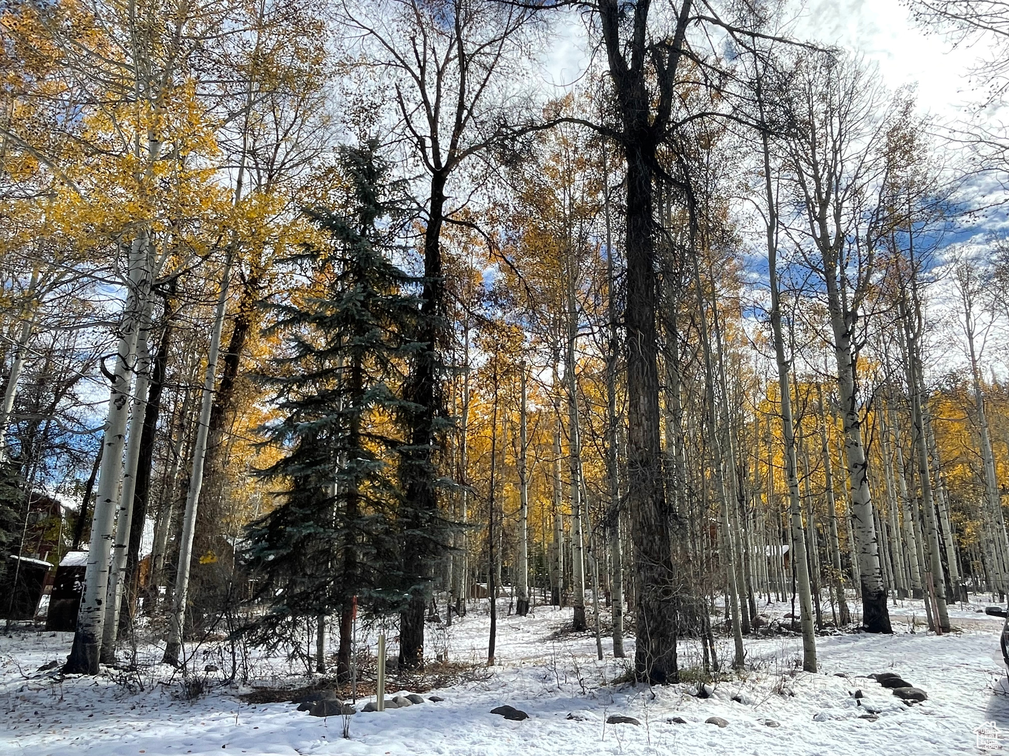 BEAVER SPRINGS - Land