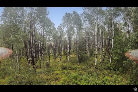 Tiny photo for 17161 SUNDANCE #20-C, Spanish Fork, UT 84660 (MLS # 2020917)