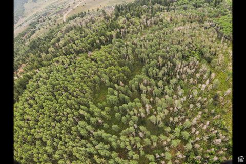 Tiny photo for 17161 SUNDANCE #20-C, Spanish Fork, UT 84660 (MLS # 2020917)