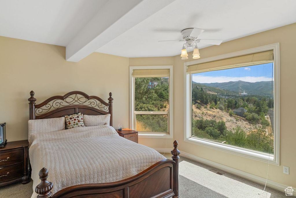 HOLBROOK - Residential