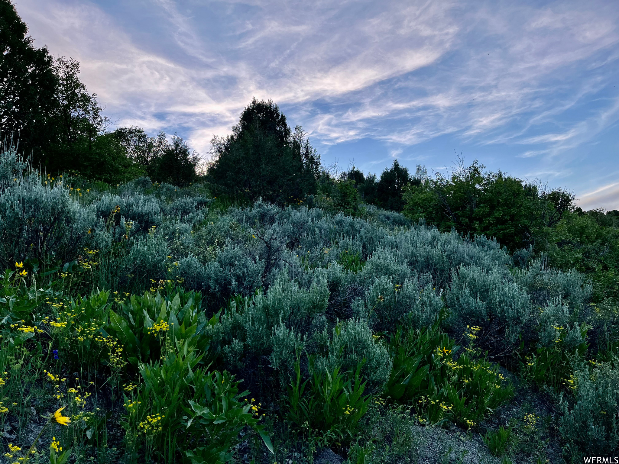 Land, Preston, Idaho image 33