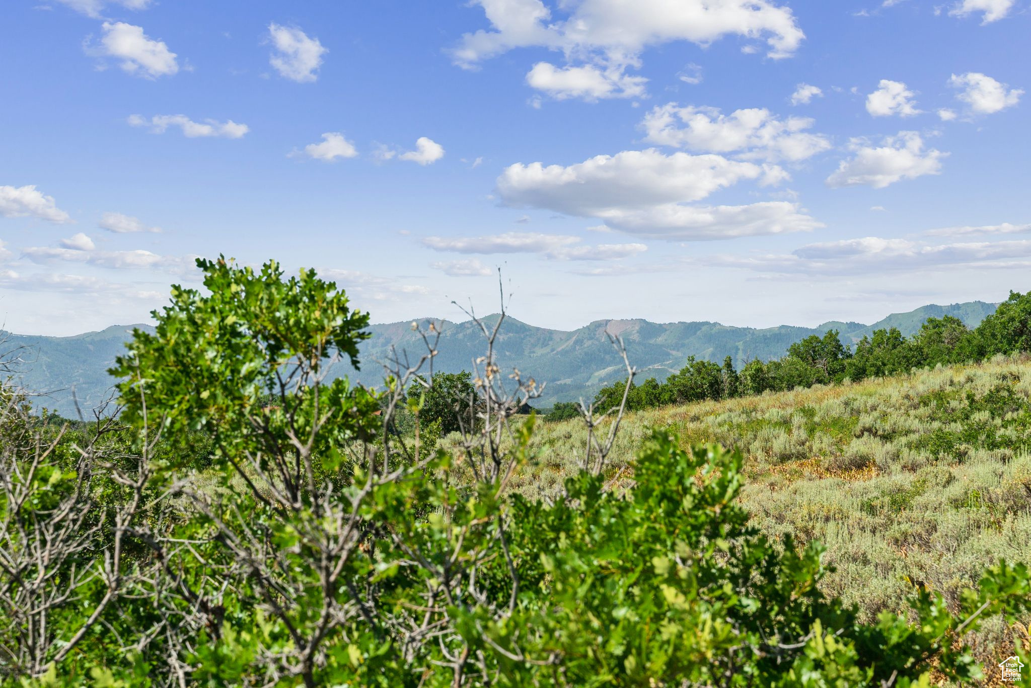 PRESERVE PHASE 2 SUBDIVISION - Land