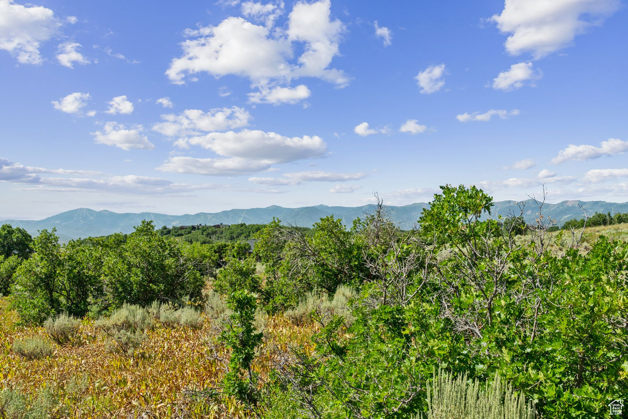 PRESERVE PHASE 2 SUBDIVISION - Land