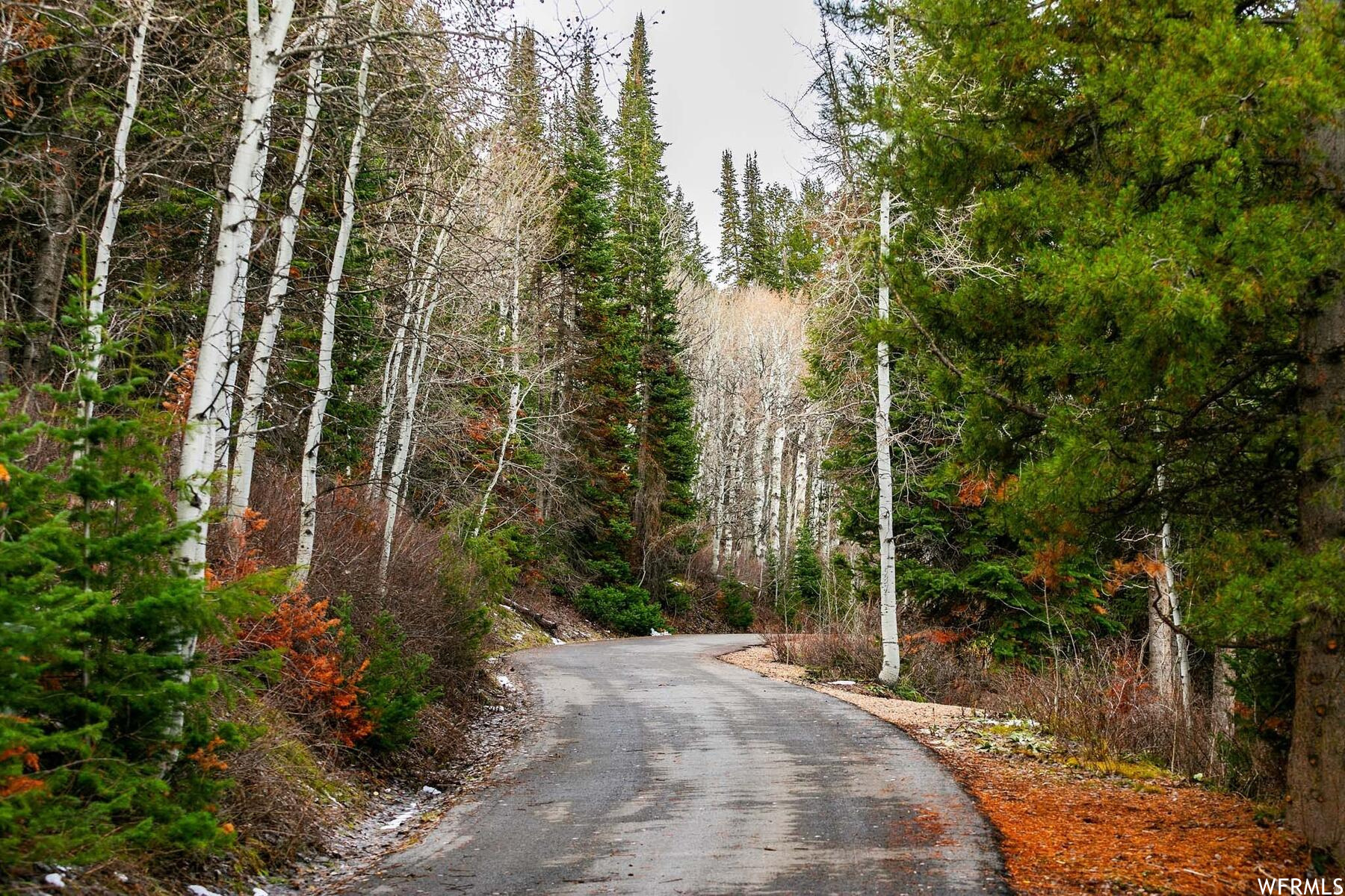 PINE MOUNTAIN - Land