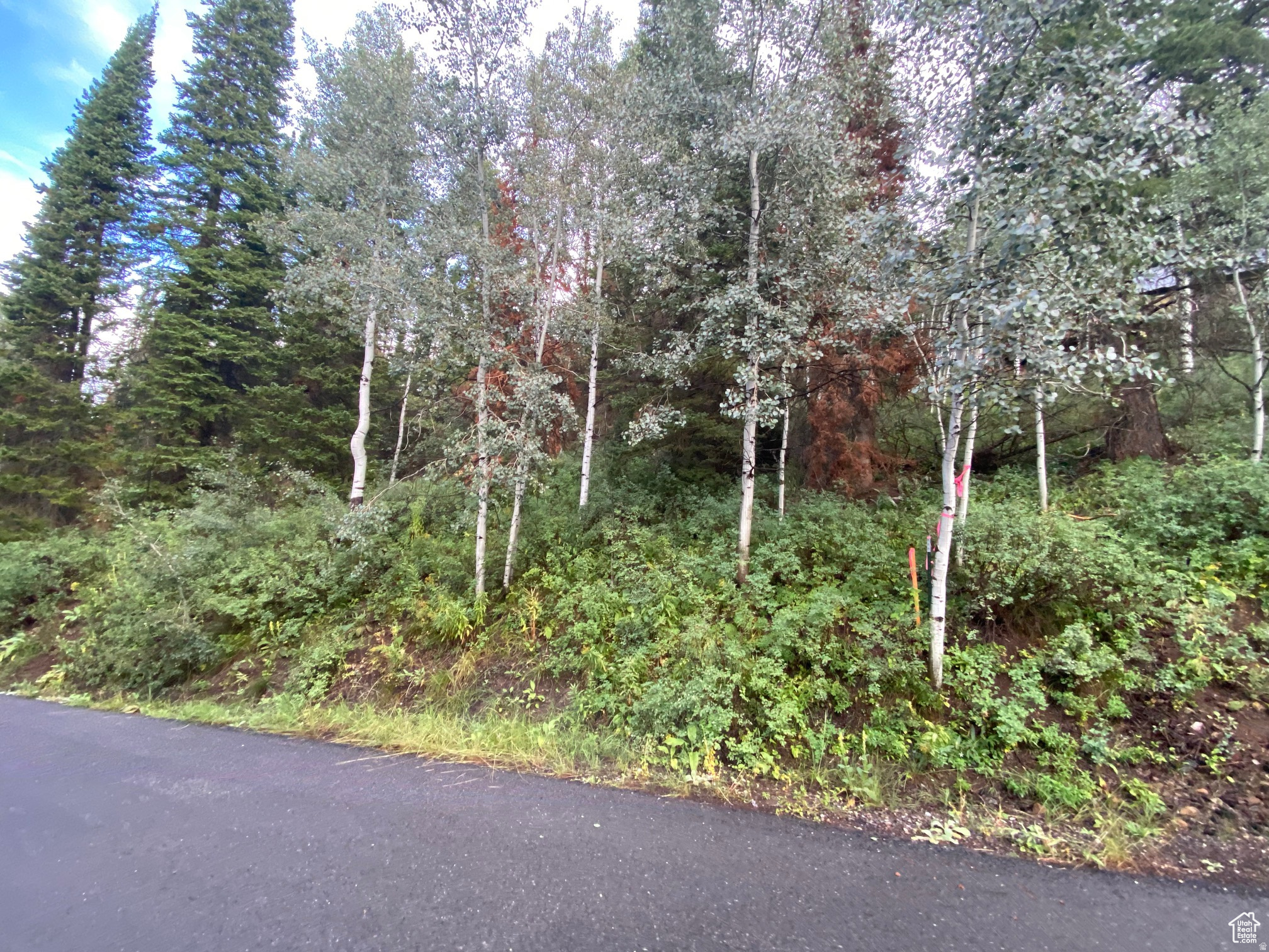 PINE MOUNTAIN - Land