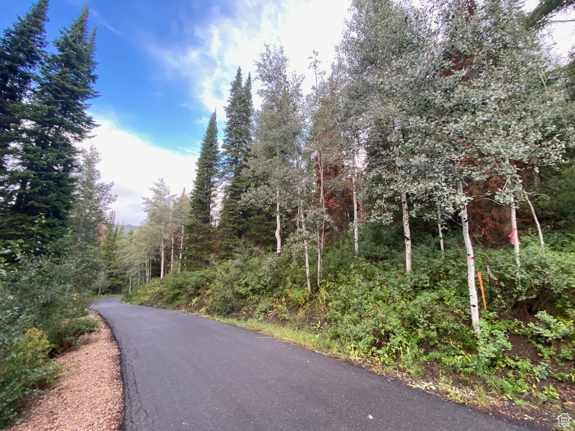 PINE MOUNTAIN - Land
