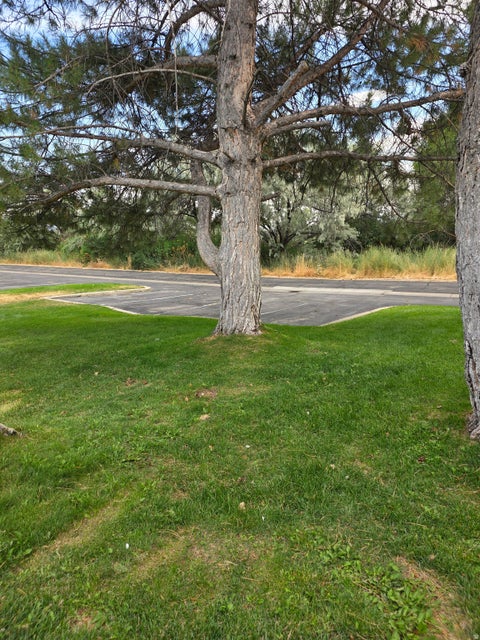Tiny photo for 1580 E 900 S #D, Clearfield, UT 84015 (MLS # 2167342)