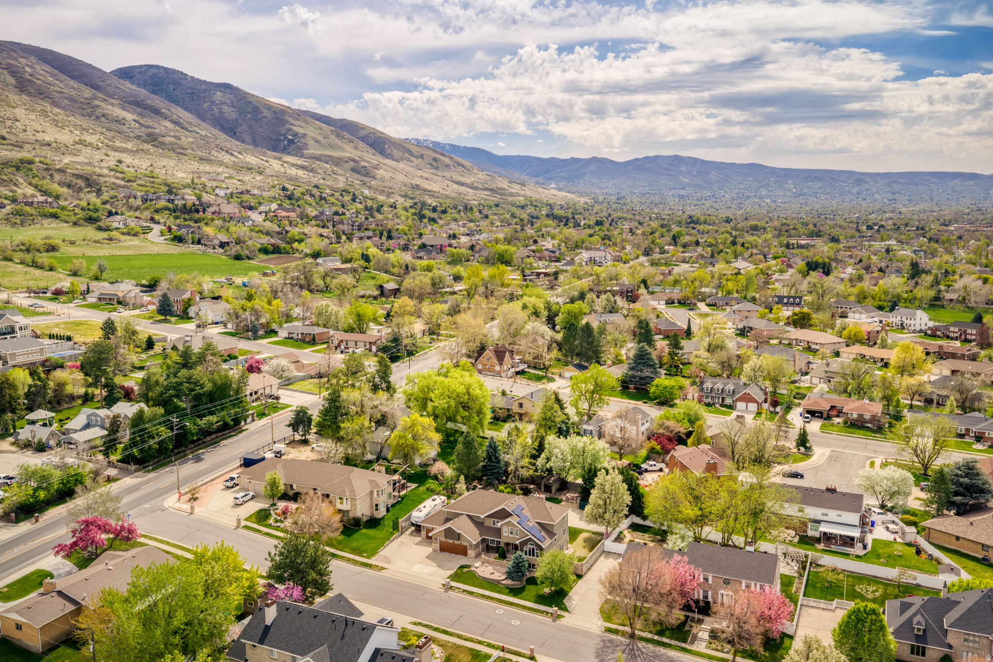 SMOOT HOMESTEAD ESTATES - Residential