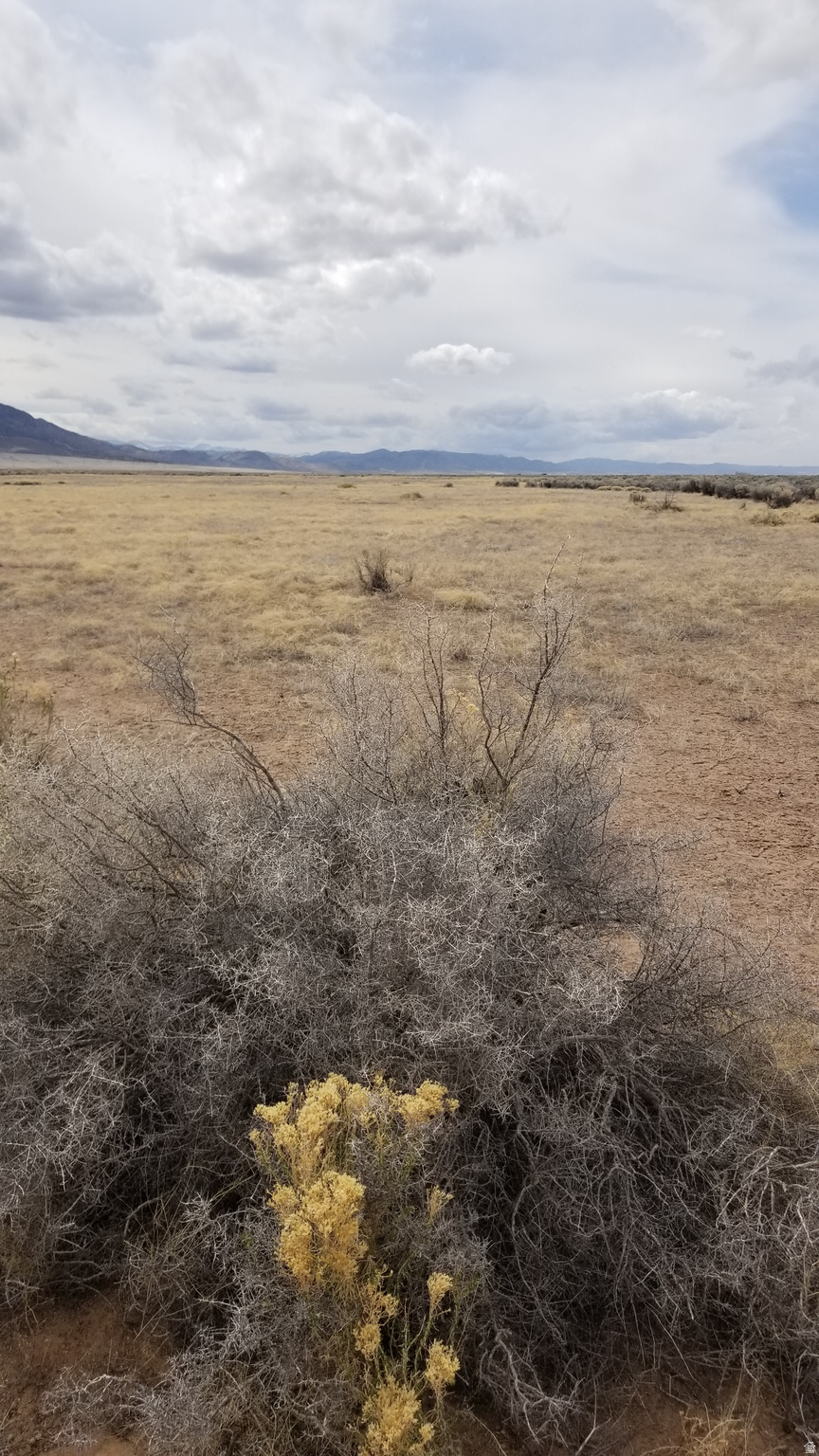 GARDEN VALLEY RANCH - Land