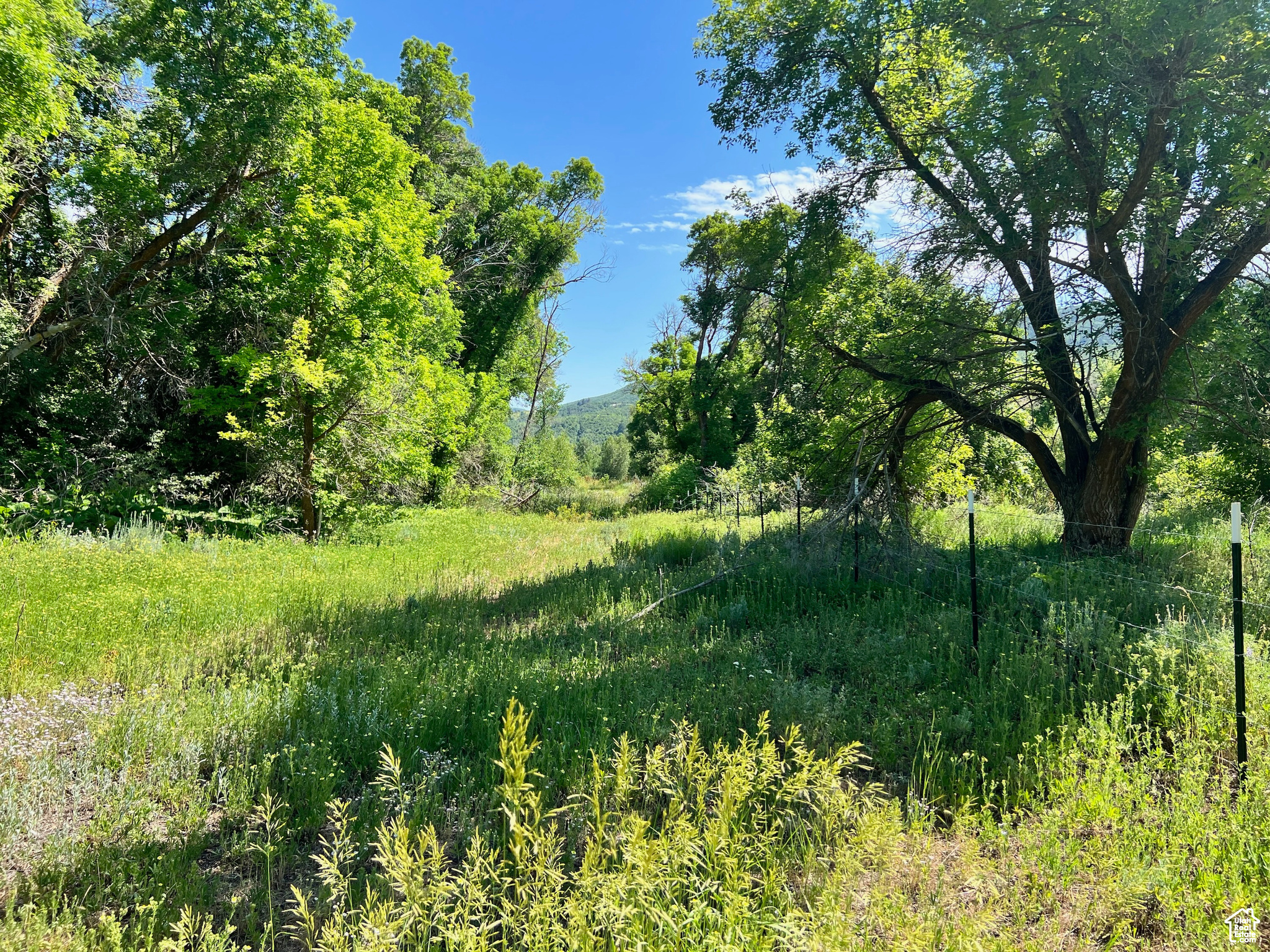 4670 E 2650 Ln, Eden, Utah image 2