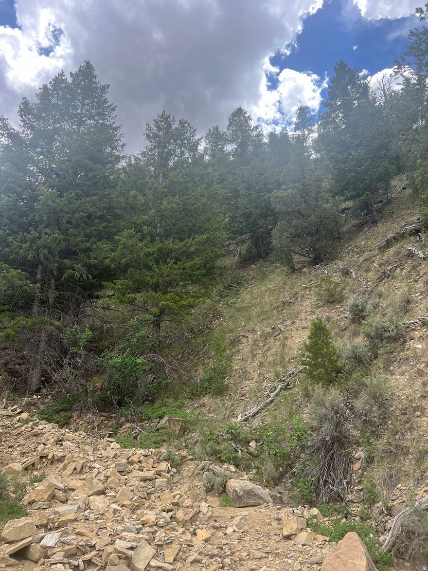 Escape to the Uinta Basin! Own 10 pristine acres of mountain land just south of Fruitland. This property offers the perfect blend of seclusion and accessibility, featuring sweeping 360-degree views and a mix of natural cedar and juniper tree cover. Whether you're looking for a private basecamp for your RV, a scenic spot for a future off-grid cabin, or a jumping-off point for world-class fishing at Starvation and Strawberry Reservoirs, this is it. Zoned A-5 for flexibility. Bring the horses, the toys, and your sense of adventure!