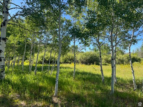 Tiny photo for 0, Montpelier, ID 83254 (MLS # 2101281)