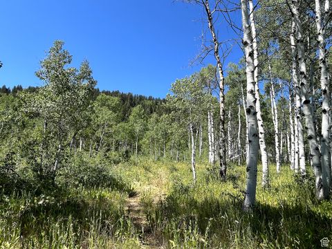 Tiny photo for 0, Montpelier, ID 83254 (MLS # 2101281)