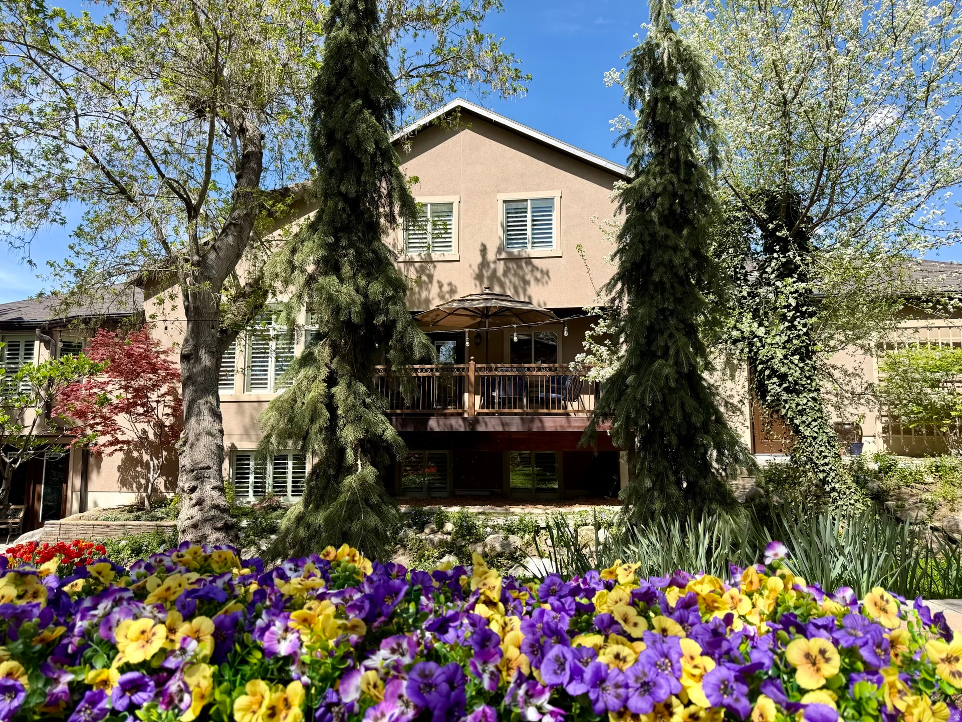 STEED PLACE - Residential