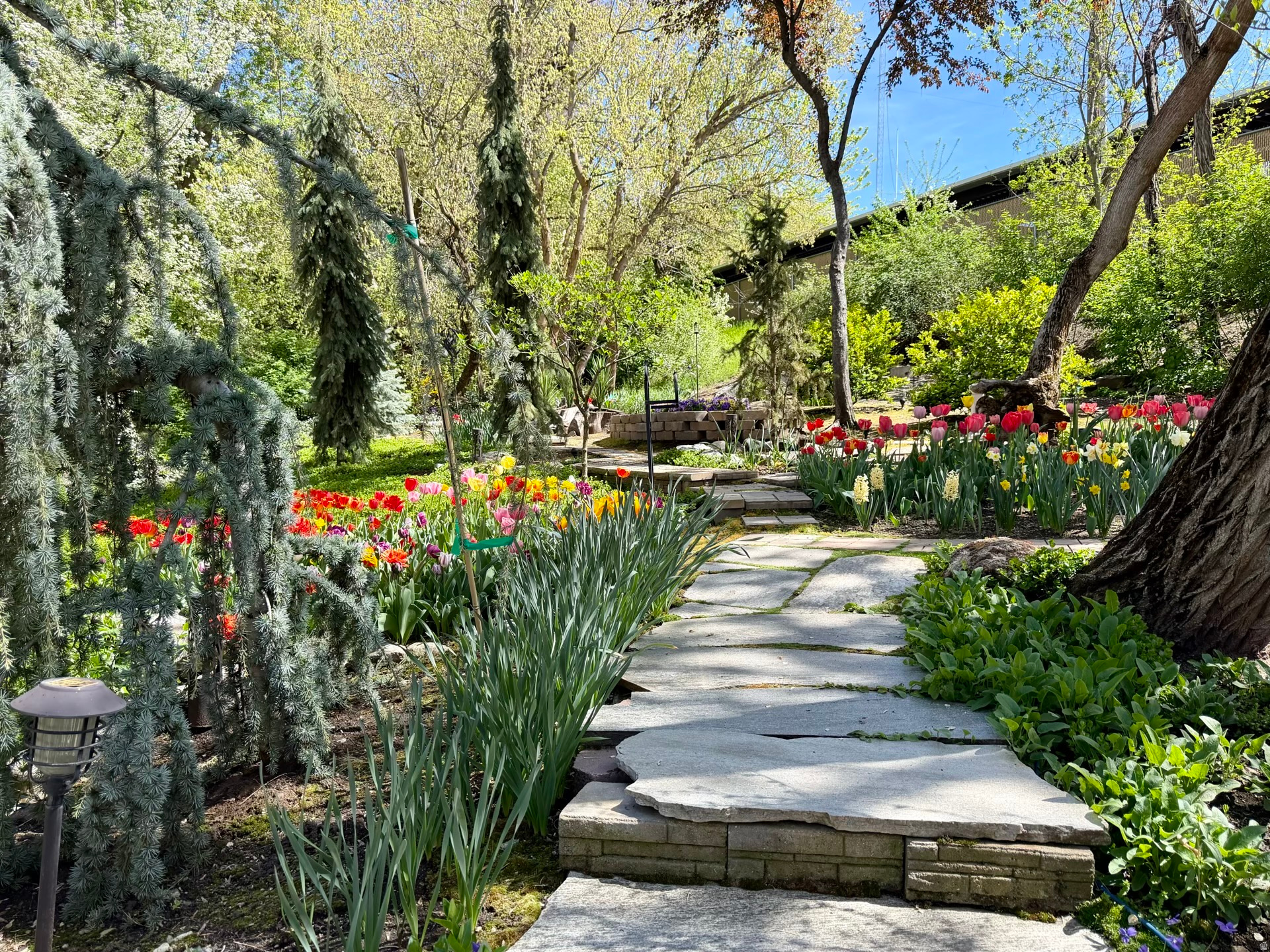 STEED PLACE - Residential