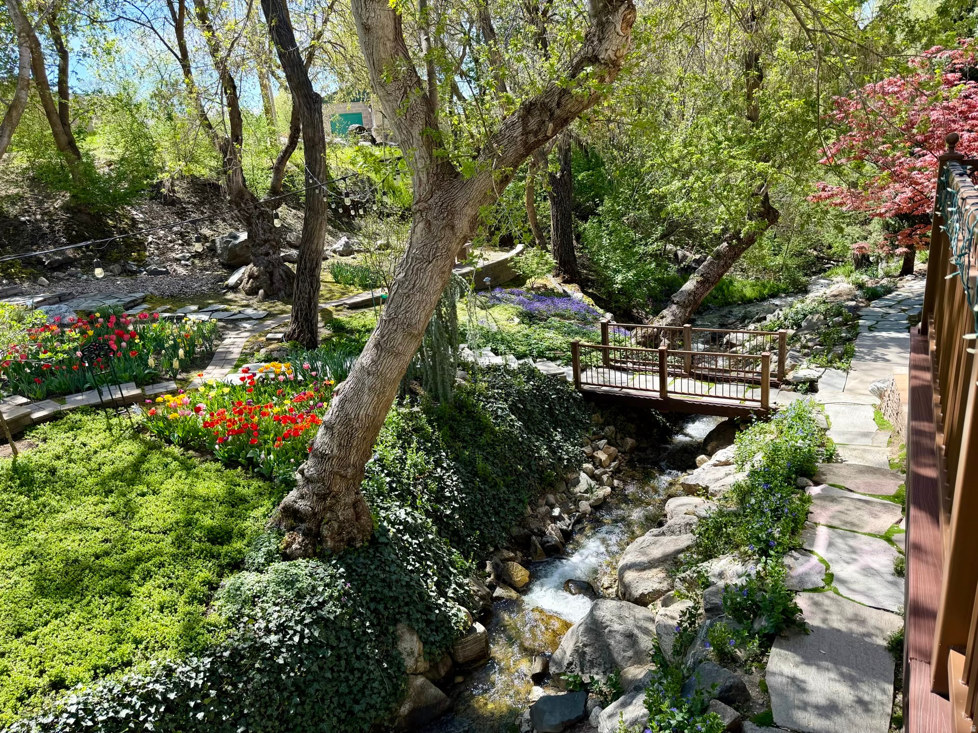 STEED PLACE - Residential