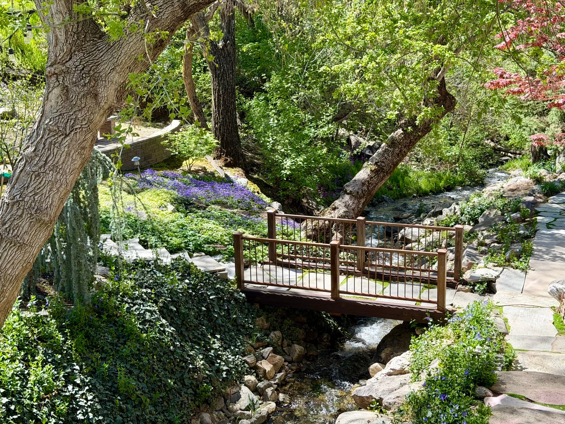 STEED PLACE - Residential