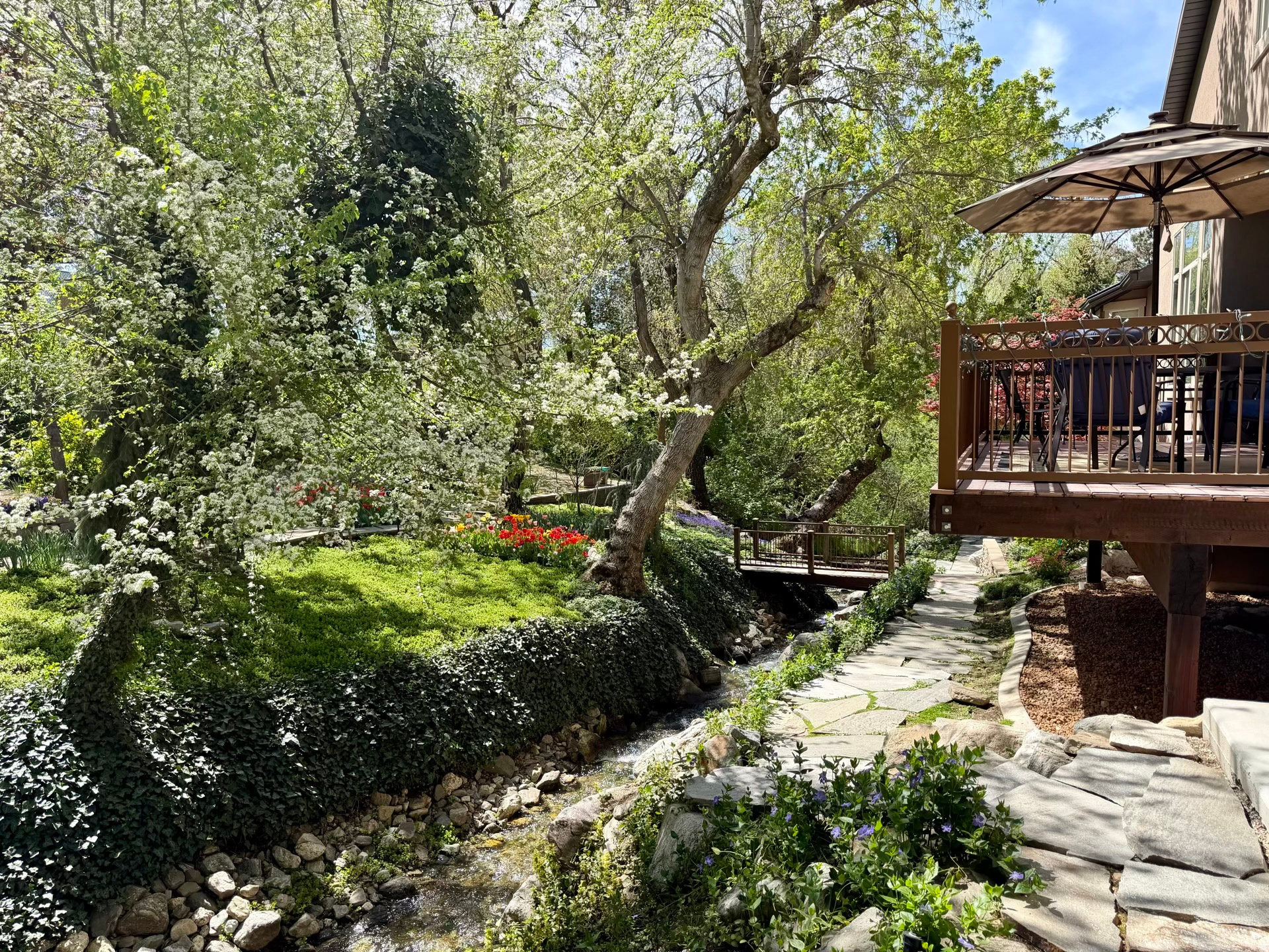 STEED PLACE - Residential