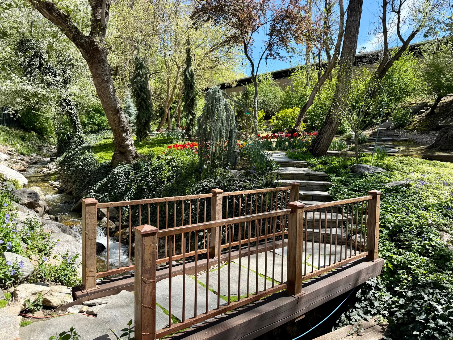 STEED PLACE - Residential