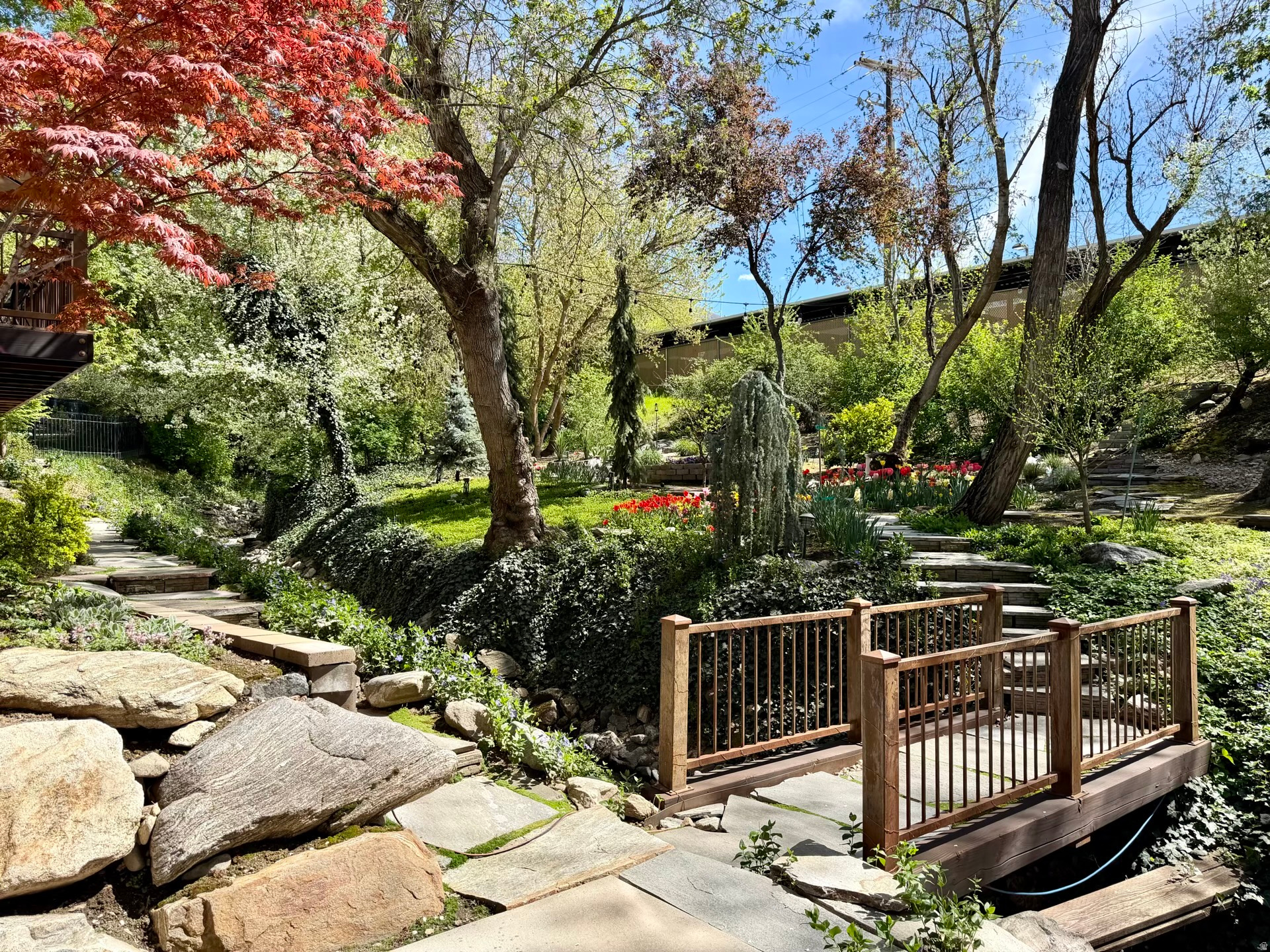 STEED PLACE - Residential