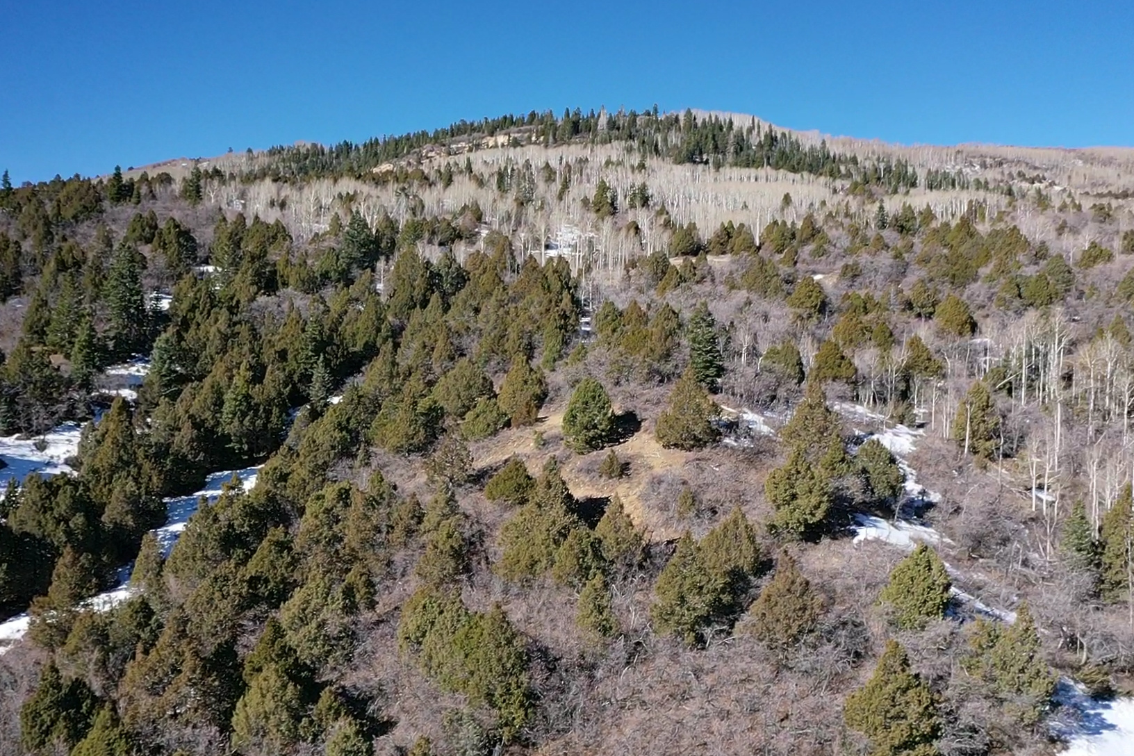 3200 SUBDIVISION - Land