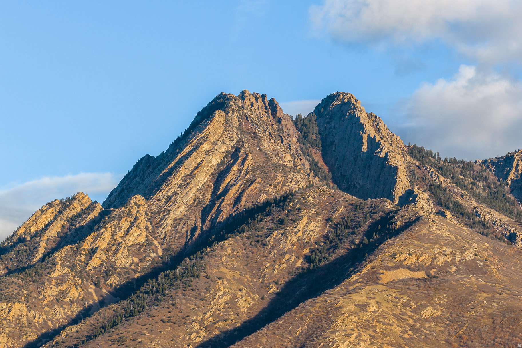 COTTONWOOD MEADOWS - Residential