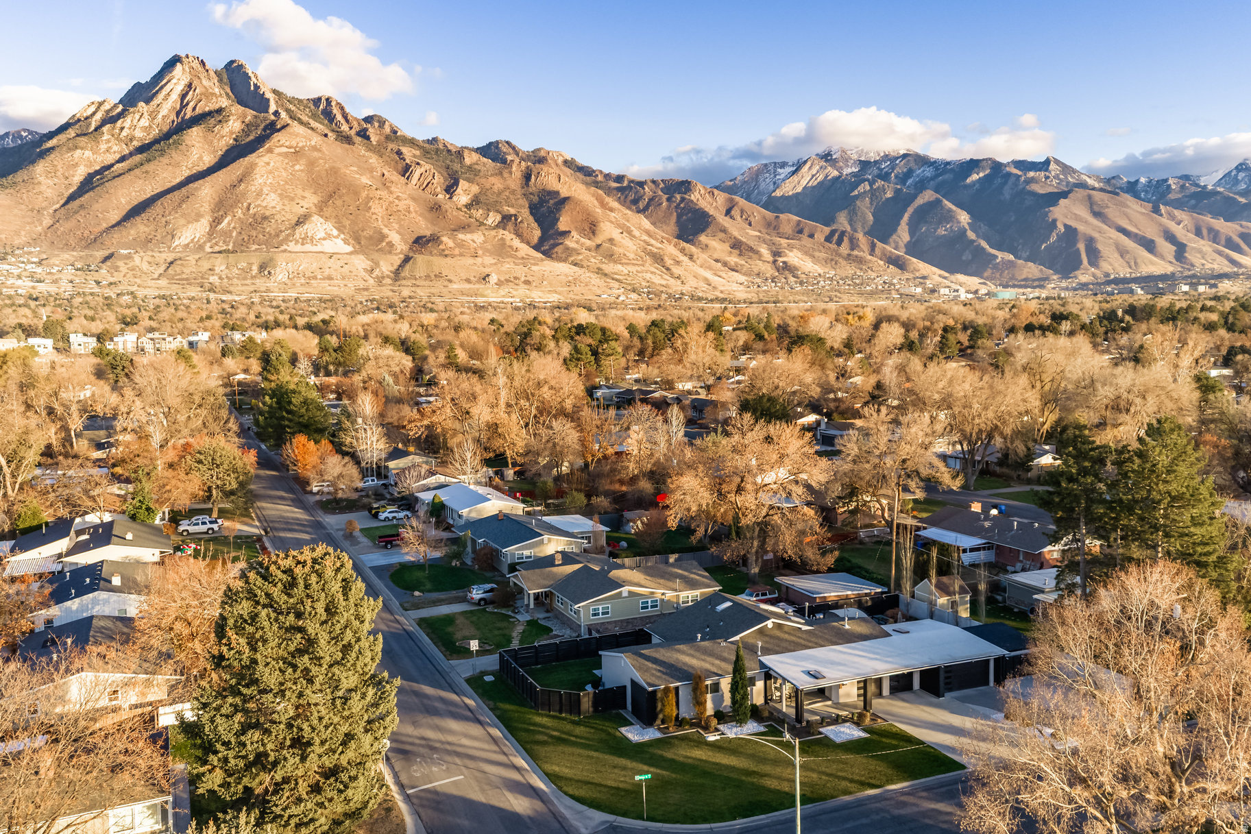 COTTONWOOD MEADOWS - Residential