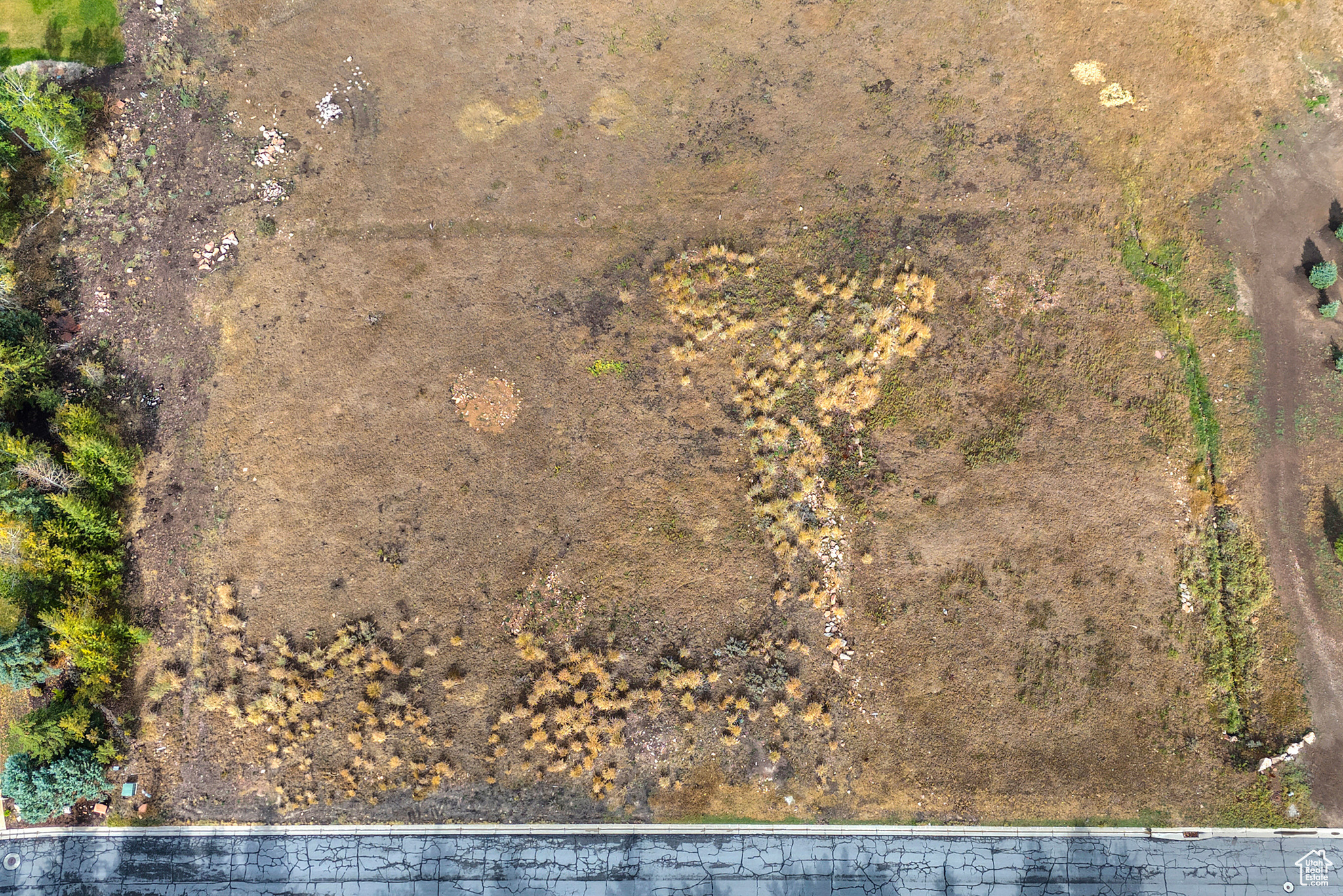 SPRINGS RANCH SUBDIVISION - Land