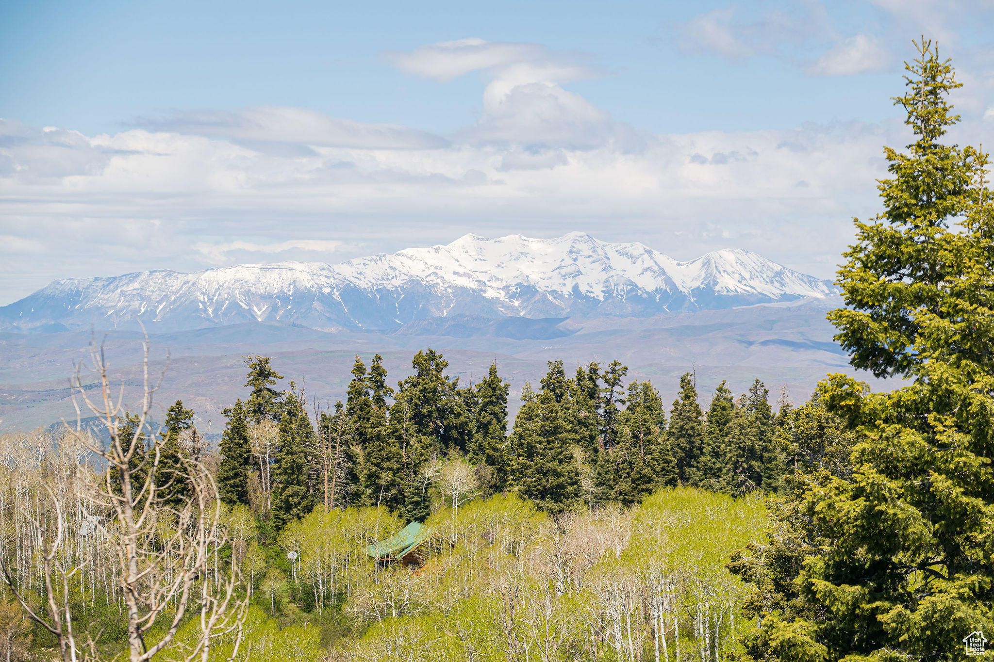 SKYLINE MOUNTAIN RES - Land