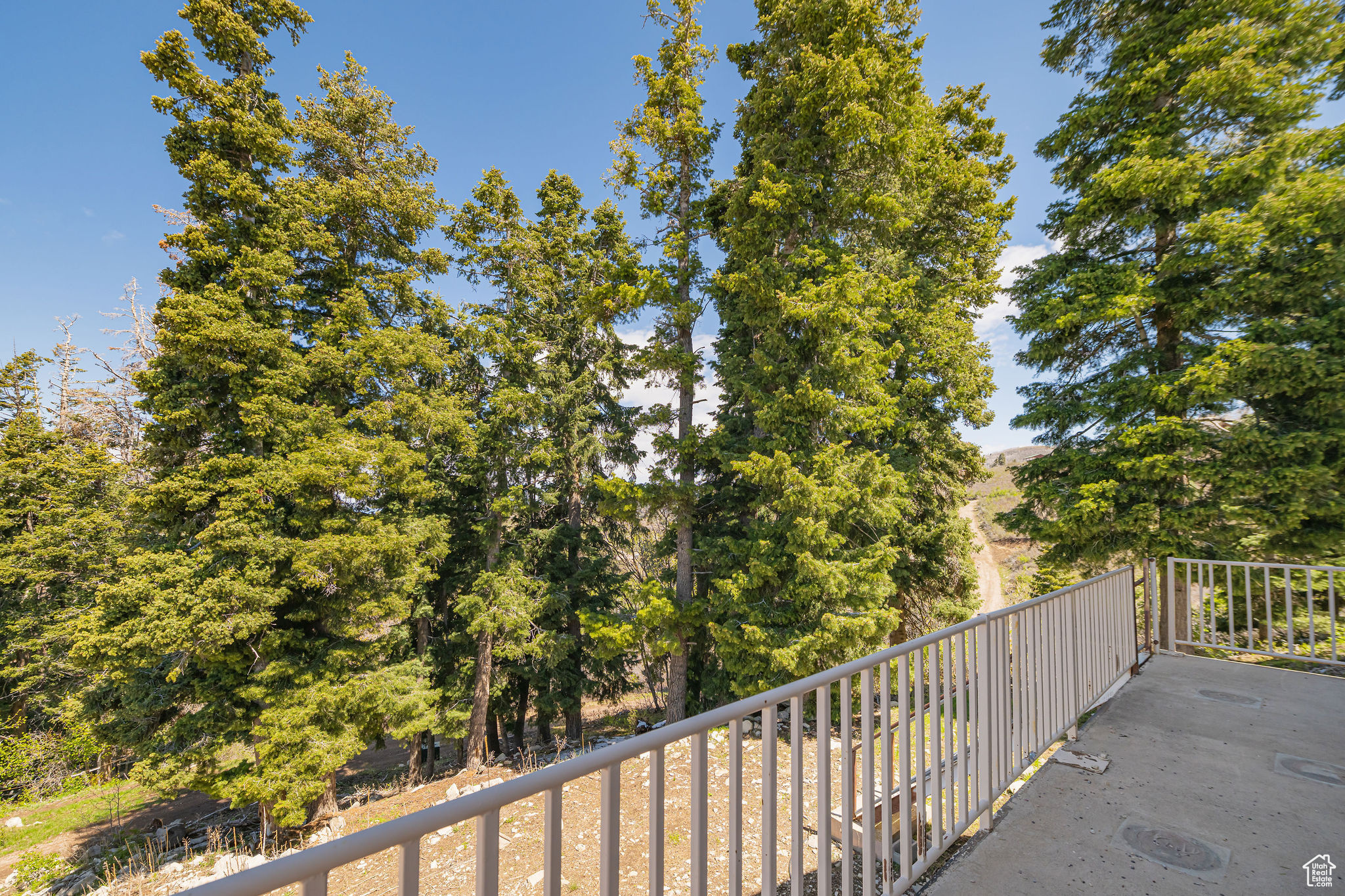 SKYLINE MOUNTAIN RES - Land