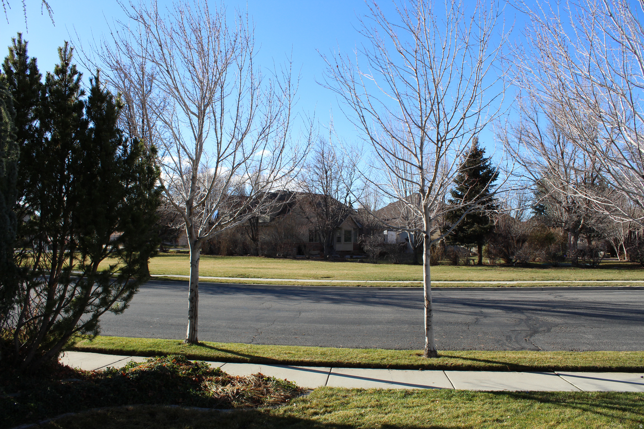 CANTERBURY NORTH - Residential