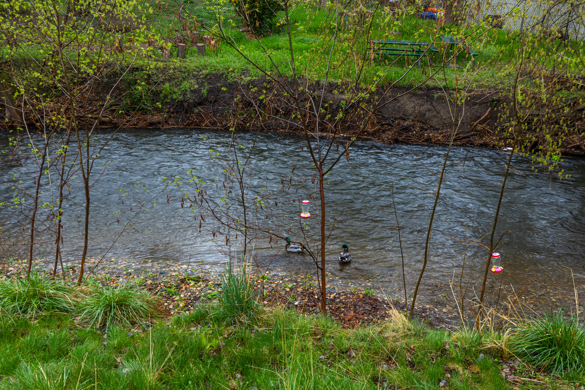 MT VERNON COVE - Residential