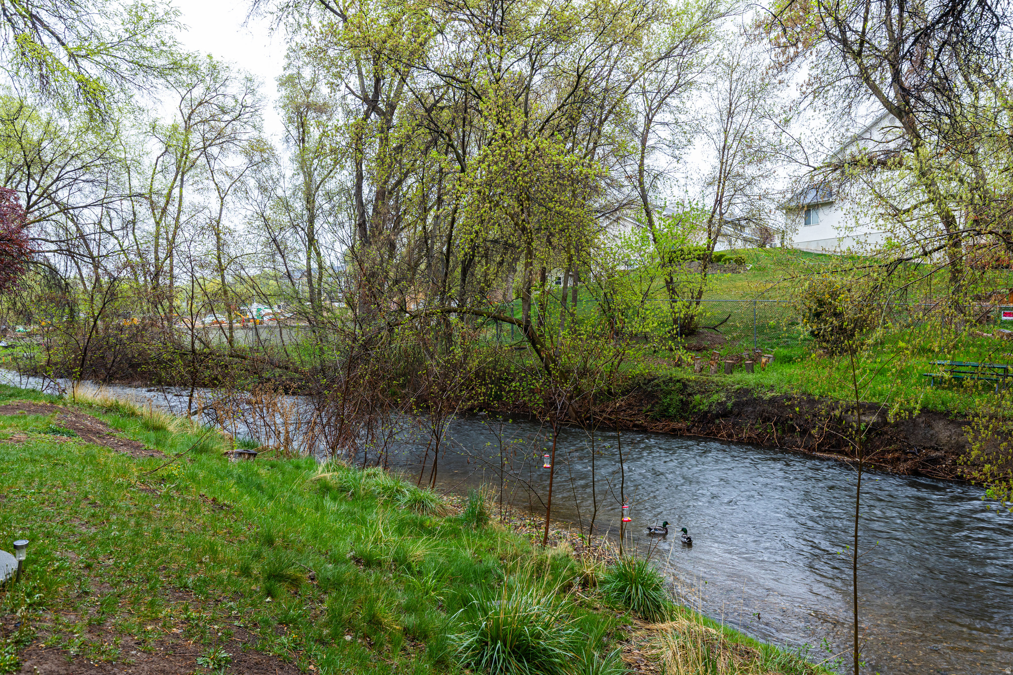 MT VERNON COVE - Residential