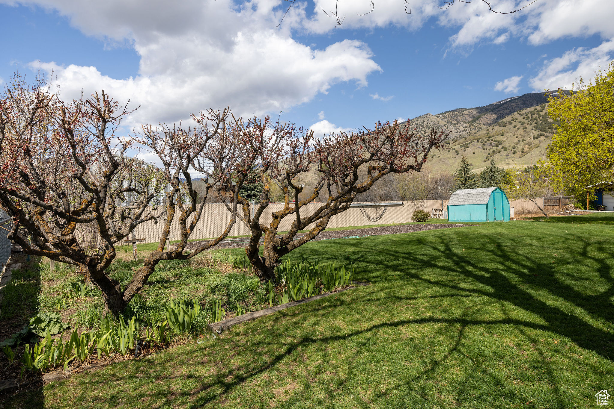 368 Spring Rd, Providence, Utah image 8