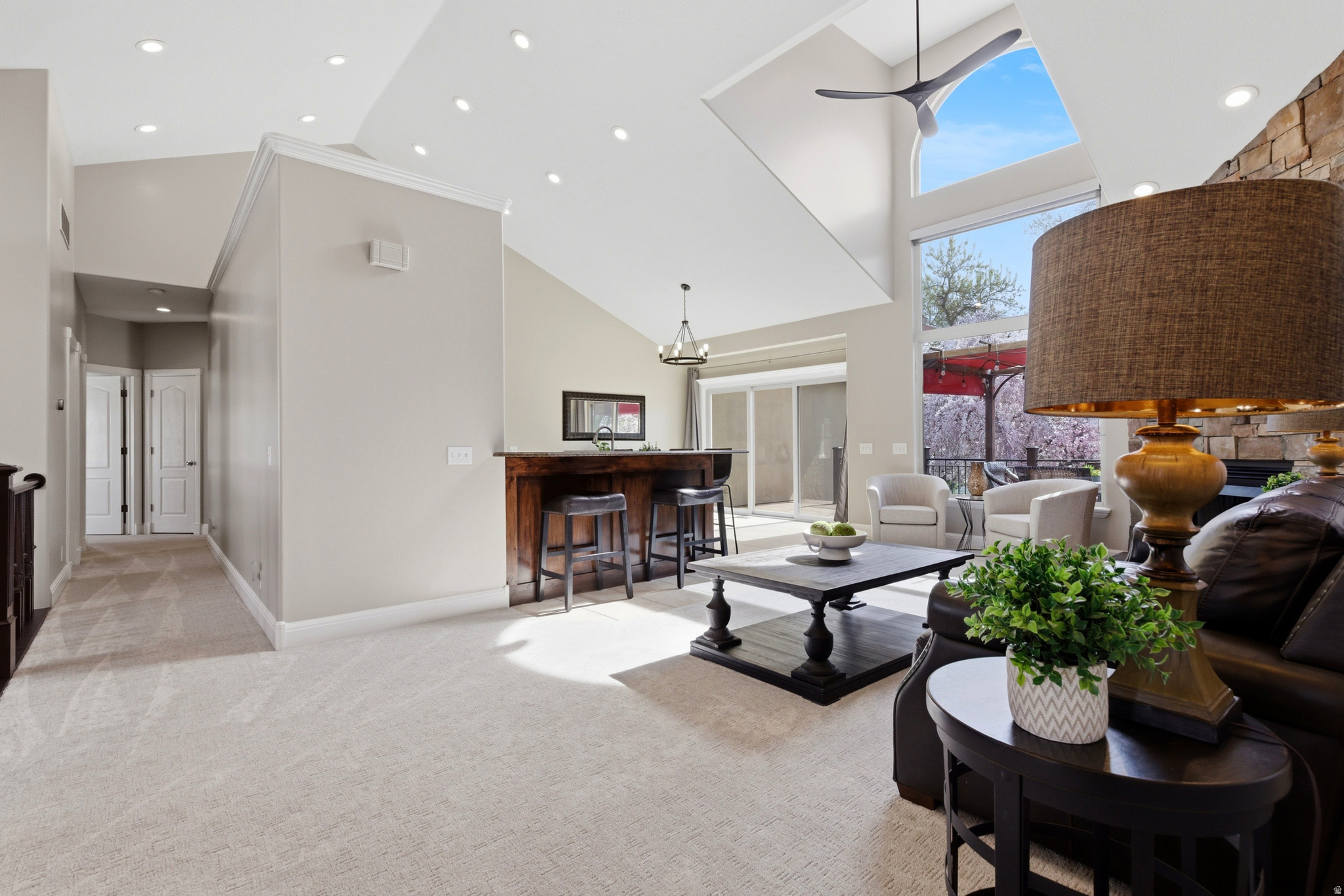 ART'S CLUSTER SUBDIVISION - Residential