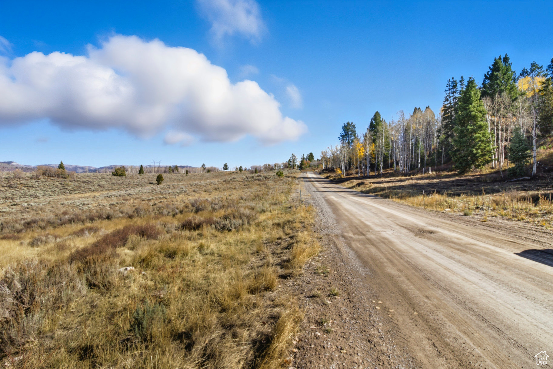 SOLDIER SUMMIT ESTATES - Land