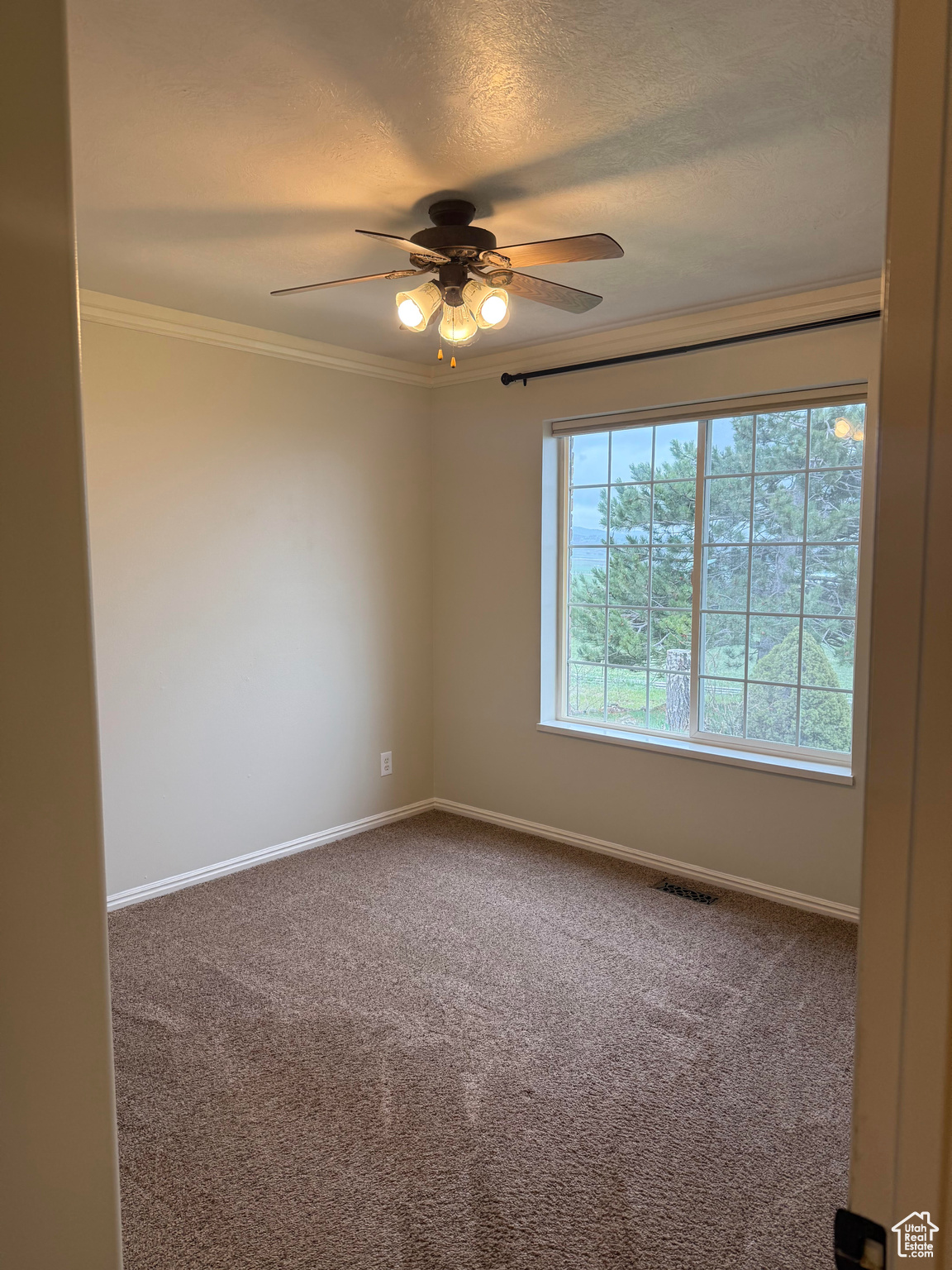 11385 E 24480, Fairview, Utah image 23