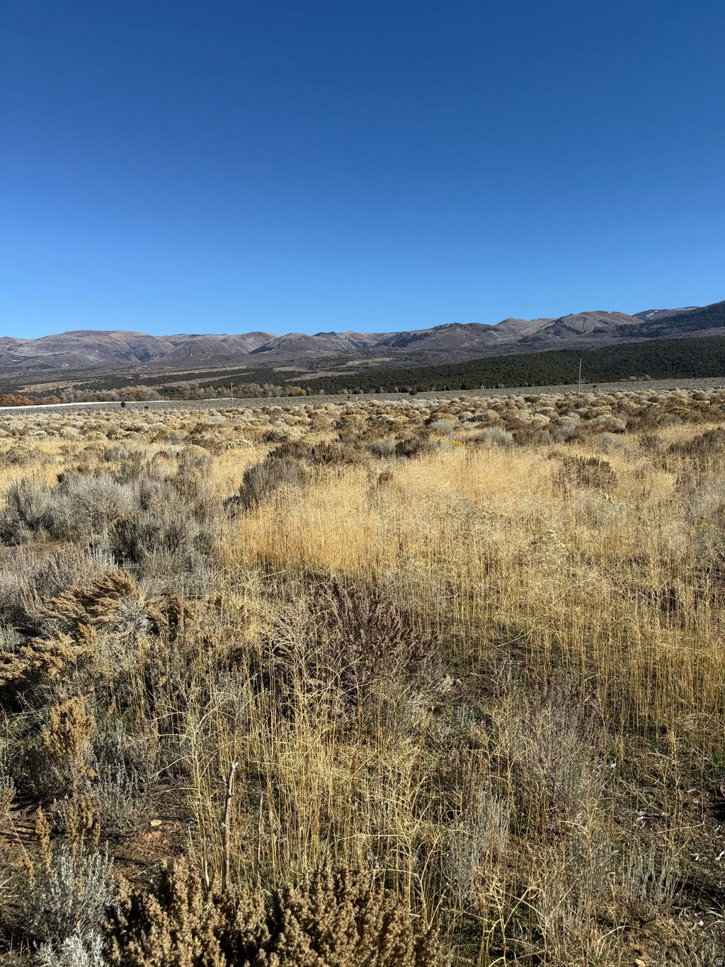 Photo for 1 PINE CREEK RD #6, Mt Pleasant, UT 84647 (MLS # 2120560)