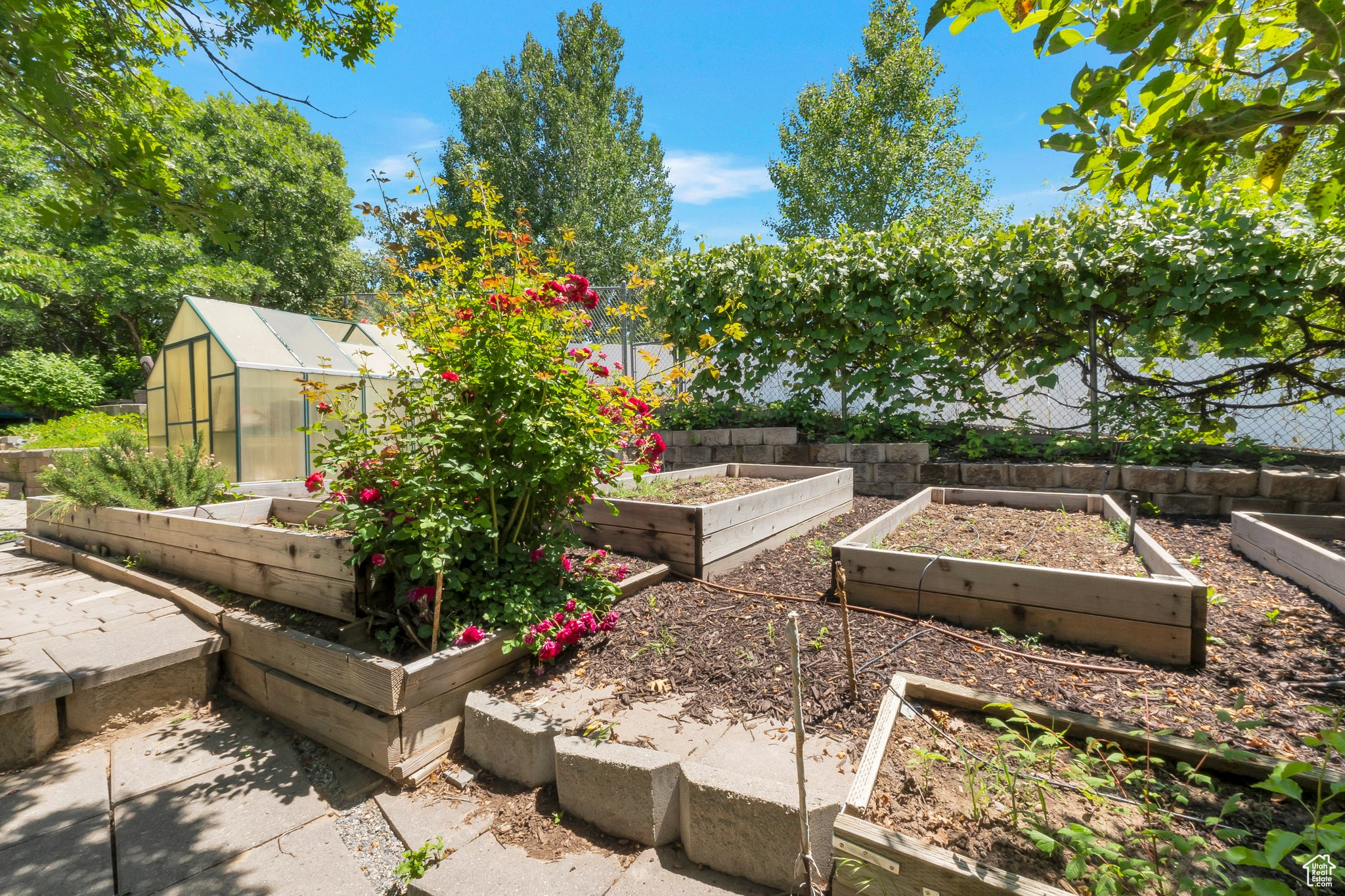 CANBERRA WEST - Residential