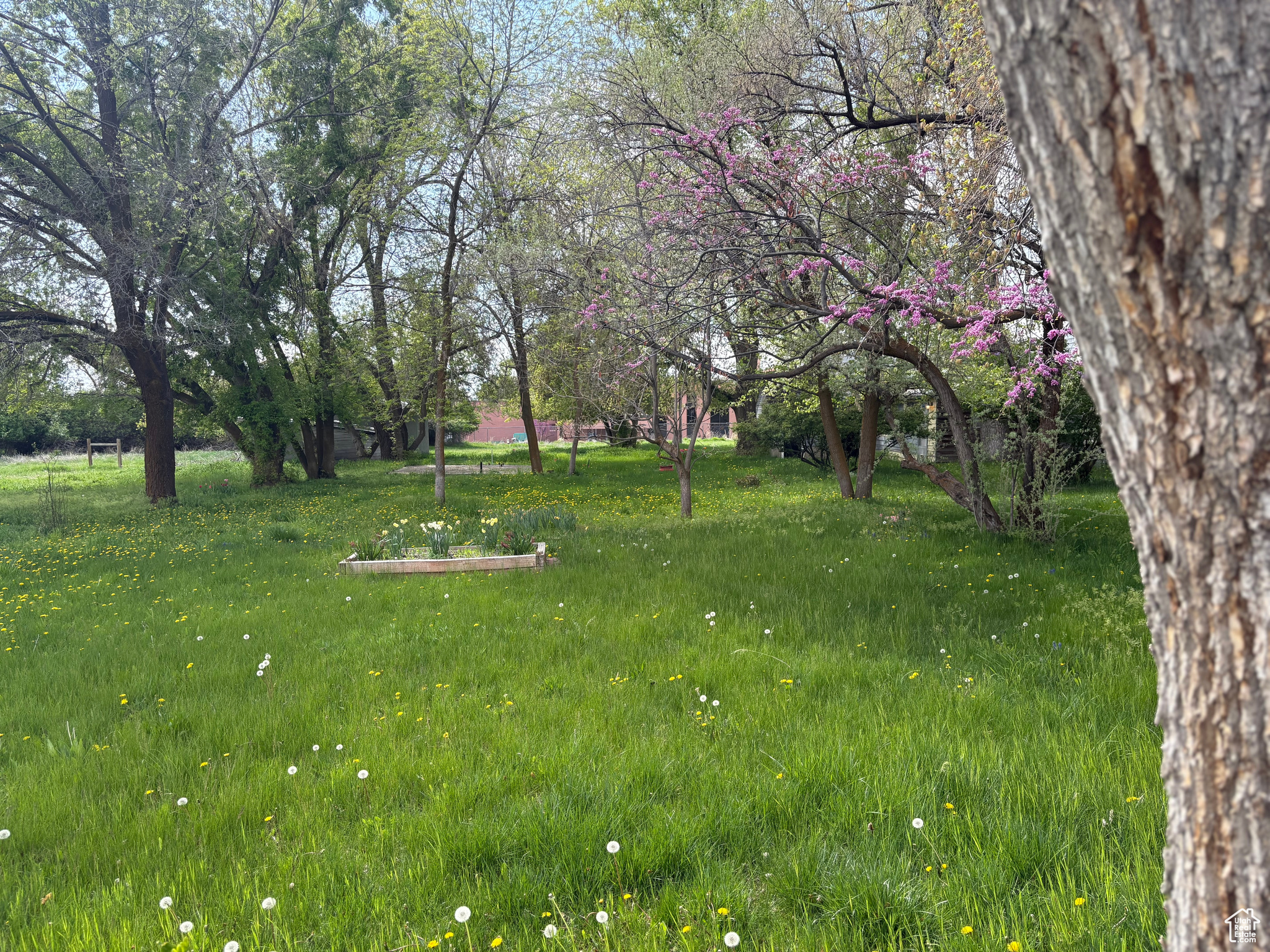 80 E Center St St, Kaysville, Utah image 6