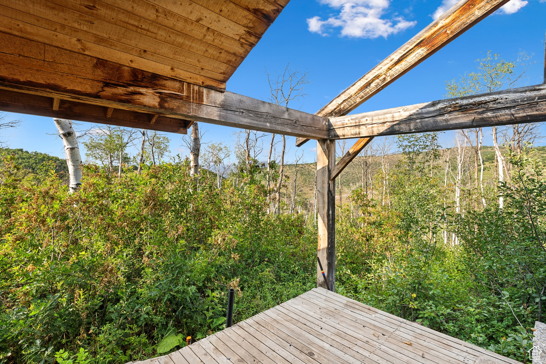 WOODLAND CREST - Land