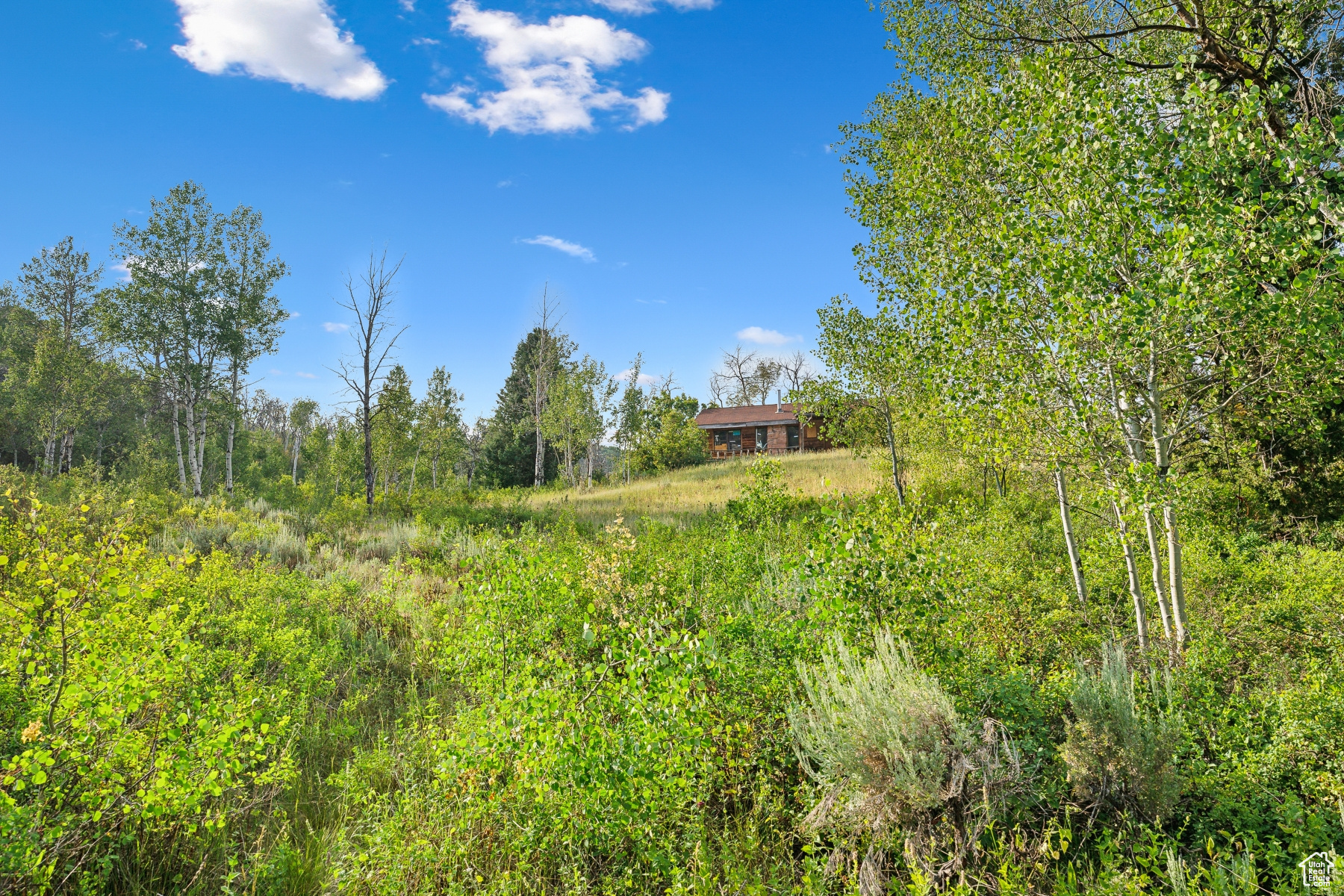 WOODLAND CREST - Land