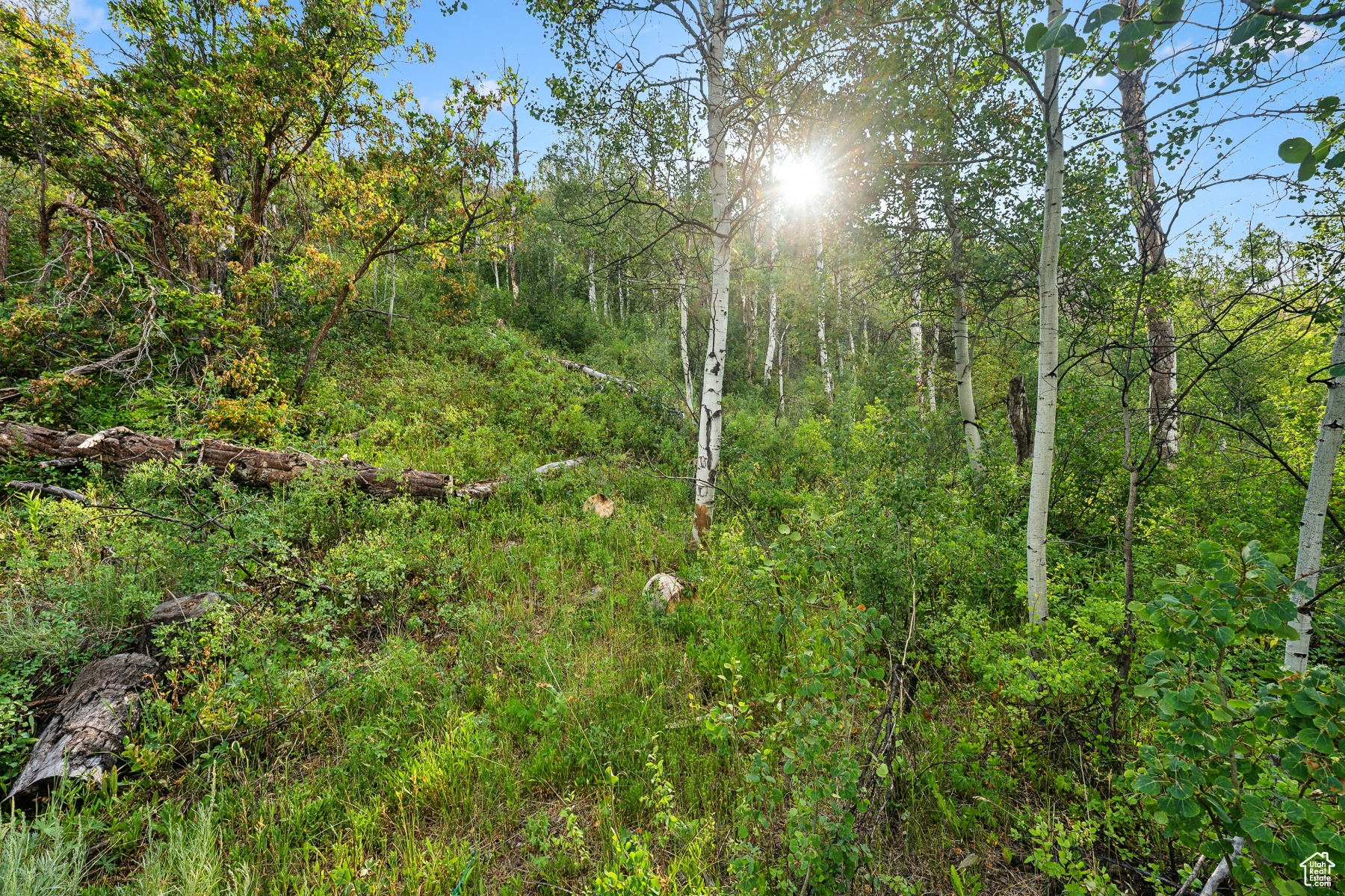 WOODLAND CREST - Land