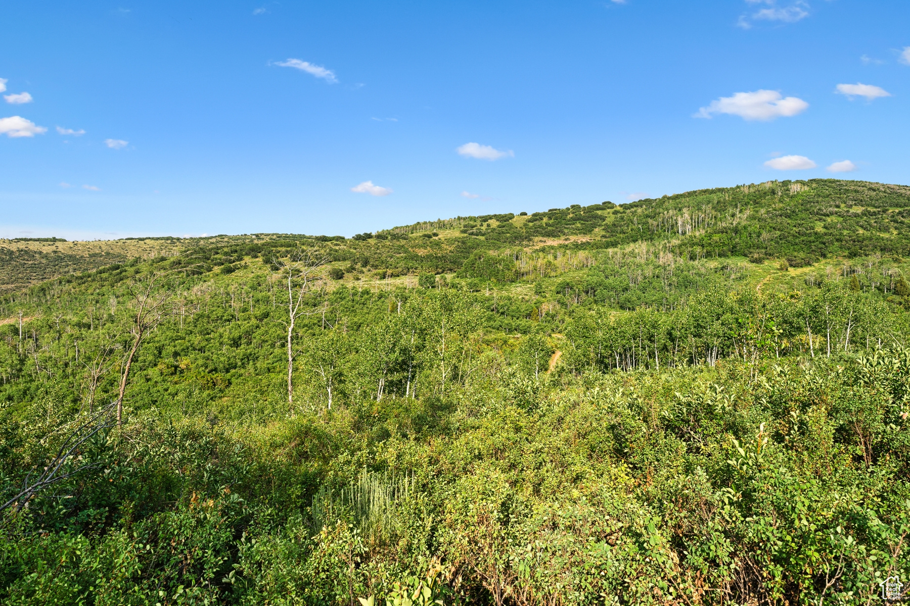 WOODLAND CREST - Land