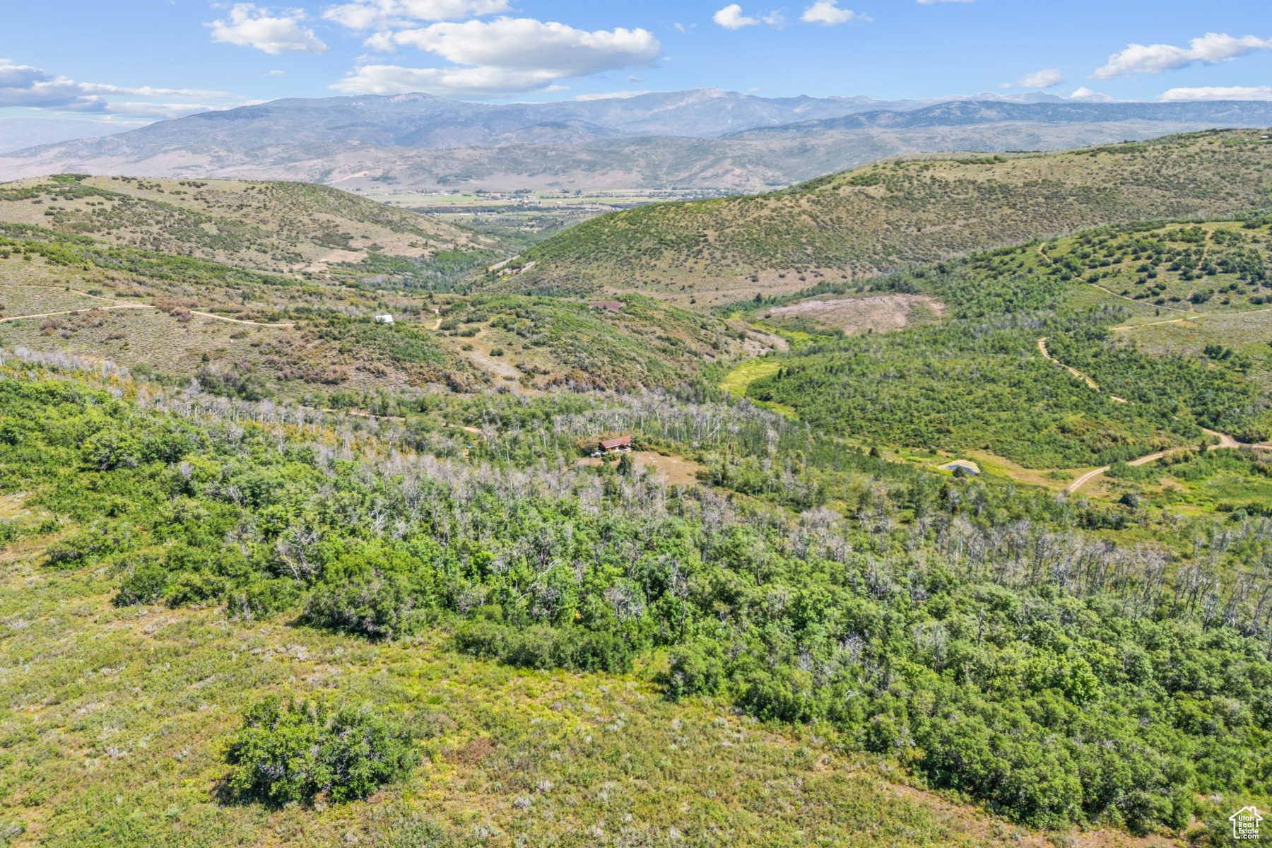 WOODLAND CREST - Land