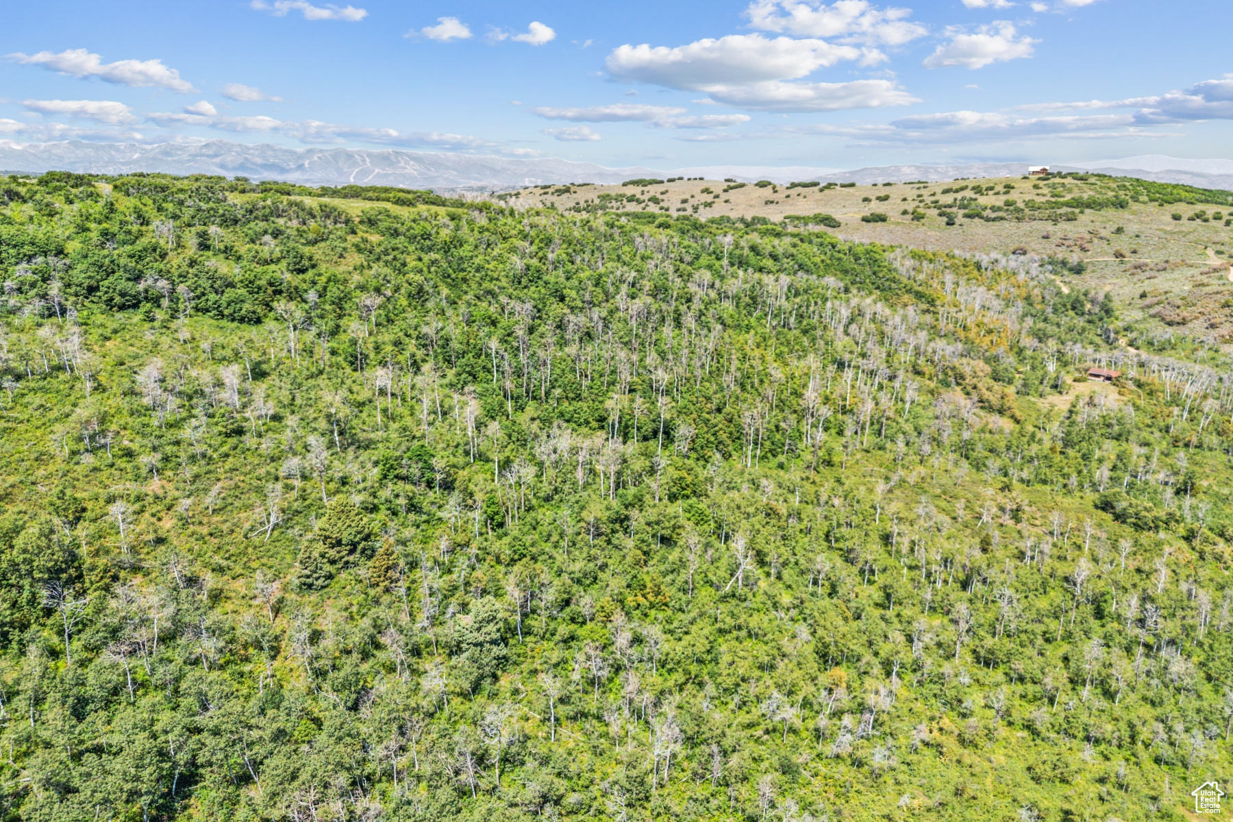 WOODLAND CREST - Land